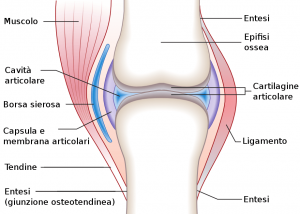 Omega-3 joint